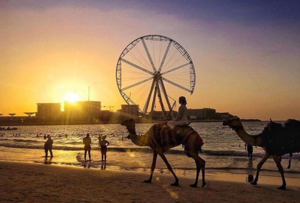 Апартаменты Al Marsa Дубай Экстерьер фото